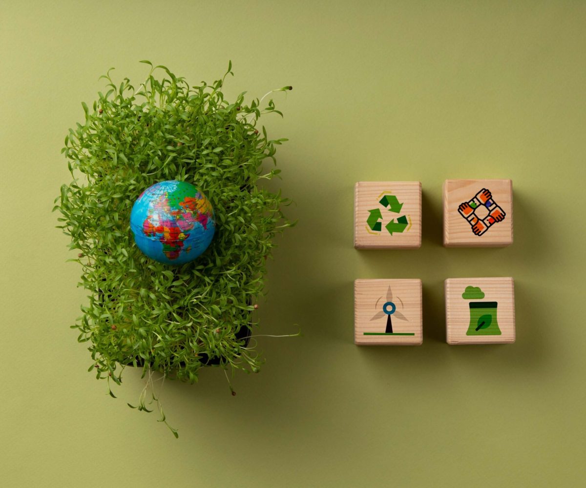 environmental impact (1)